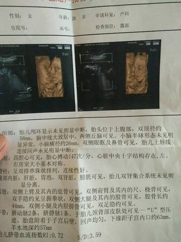 journal_insert_pic_1034744585