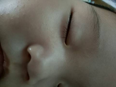 journal_insert_pic_1035077844