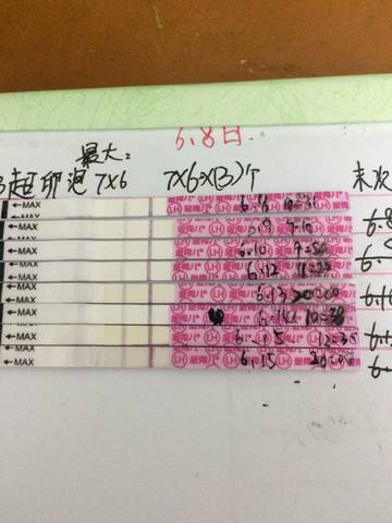 journal_insert_pic_1035431851