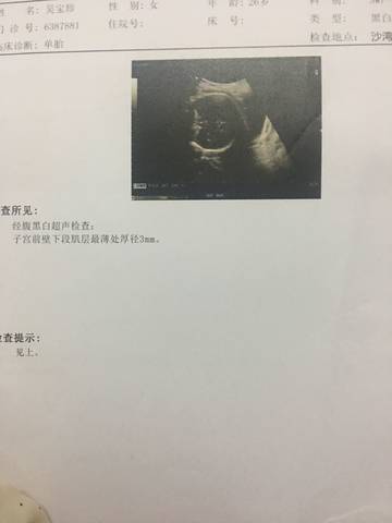 journal_insert_pic_1035437338