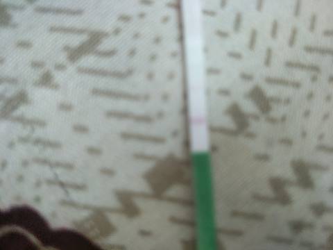 journal_insert_pic_1035714318