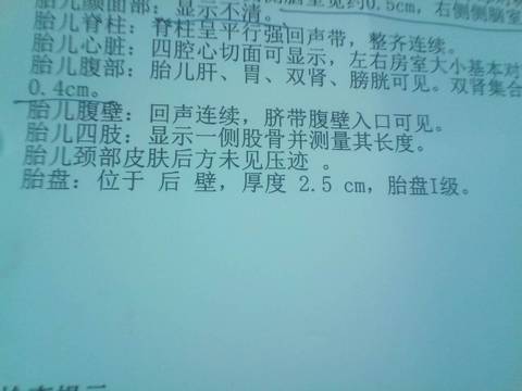 journal_insert_pic_1036481906