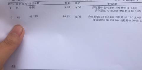 journal_insert_pic_1036726434