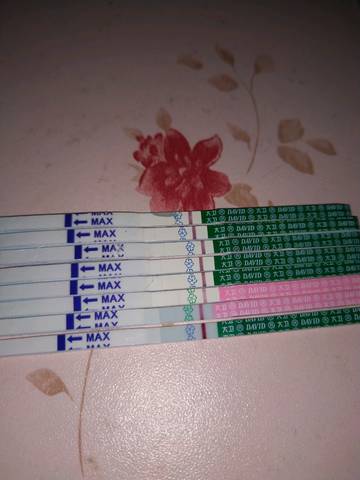 journal_insert_pic_1036284141