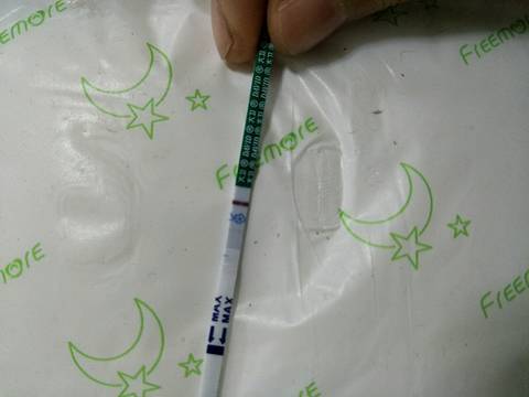 journal_insert_pic_1037306220