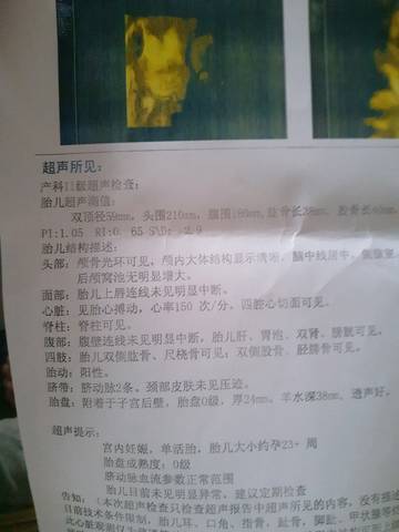 journal_insert_pic_1036968369