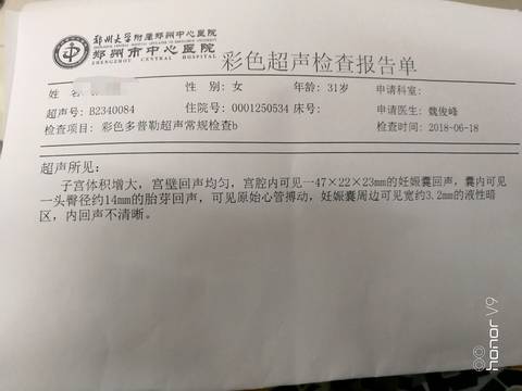 journal_insert_pic_1037044161
