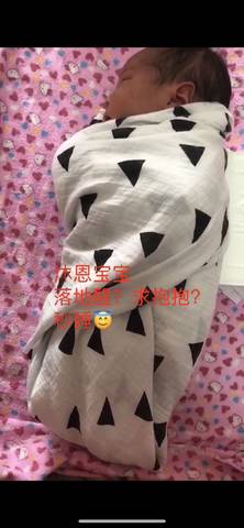 journal_insert_pic_1038272039