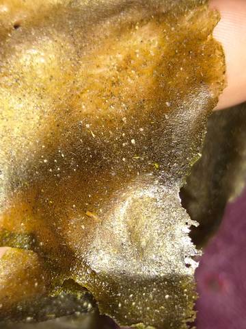 journal_insert_pic_1038078501