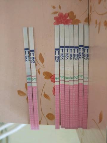 journal_insert_pic_1038072764