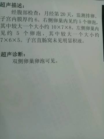 journal_insert_pic_1038189039