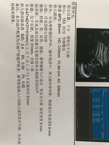 journal_insert_pic_1037733739