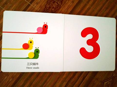 journal_insert_pic_1038106480