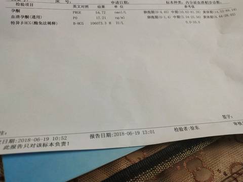 journal_insert_pic_1038465012