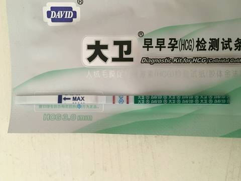 journal_insert_pic_1038601662