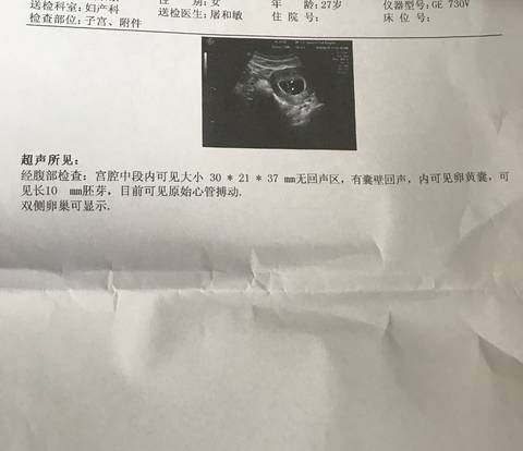 journal_insert_pic_1039466117