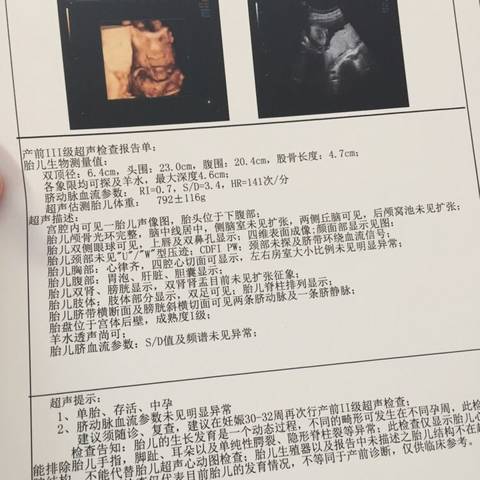 journal_insert_pic_1039414841