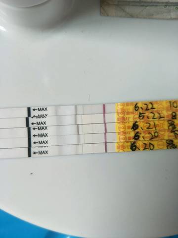 journal_insert_pic_1039900175