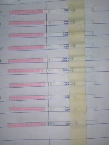 journal_insert_pic_1039860979