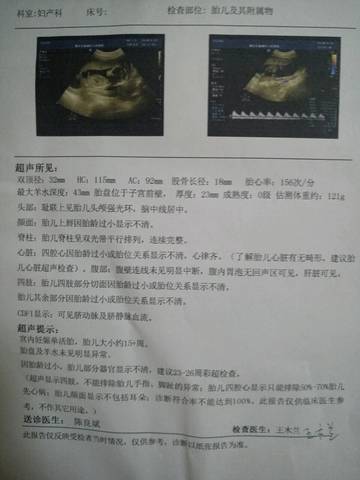 journal_insert_pic_1039902895