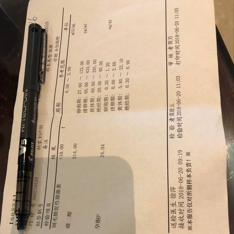 journal_insert_pic_1040703194