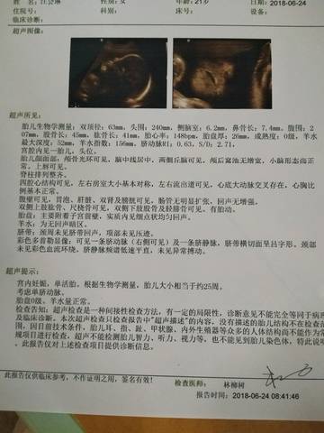 journal_insert_pic_1041261339