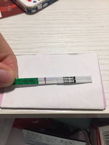 journal_insert_pic_1041474328