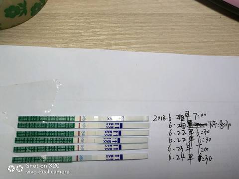 journal_insert_pic_1041121442