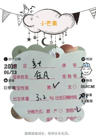 journal_insert_pic_1041496029