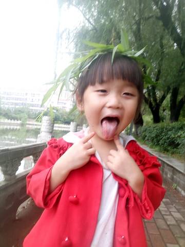 journal_insert_pic_1041577116