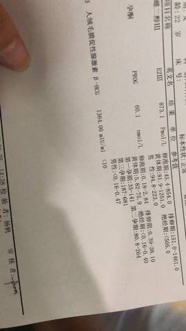 journal_insert_pic_1042109450