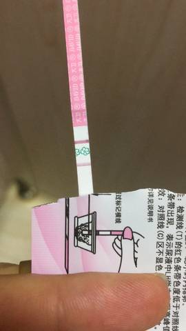 journal_insert_pic_1042025333