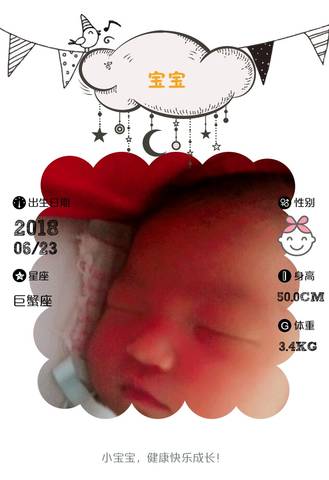 journal_insert_pic_1042025784