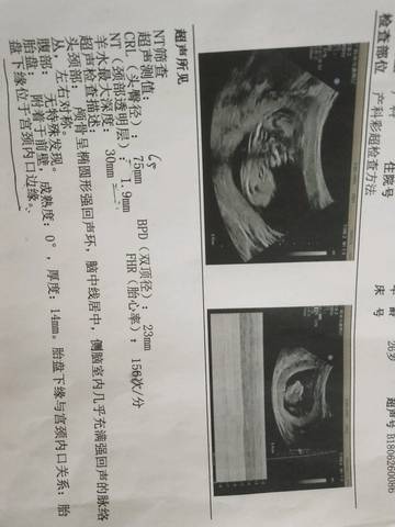 journal_insert_pic_1043073973