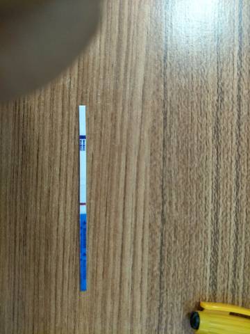 journal_insert_pic_1042840623