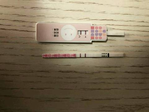 journal_insert_pic_1042662918