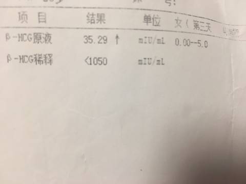 journal_insert_pic_1045734826