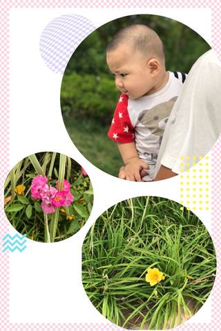 journal_insert_pic_1046580520