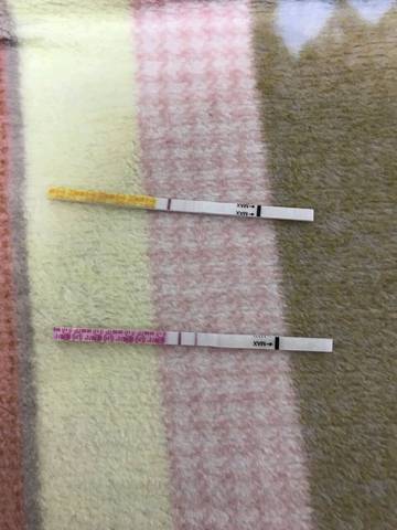 journal_insert_pic_1047978233