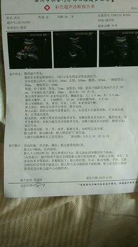 journal_insert_pic_1048673125