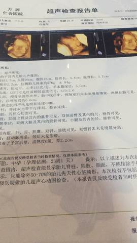 journal_insert_pic_1049411918