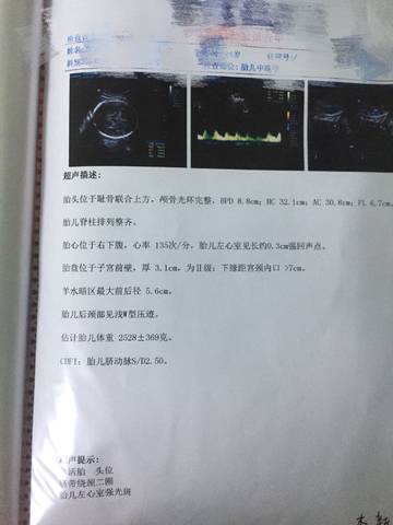 journal_insert_pic_1050263205