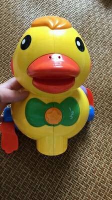 journal_insert_pic_1051144527