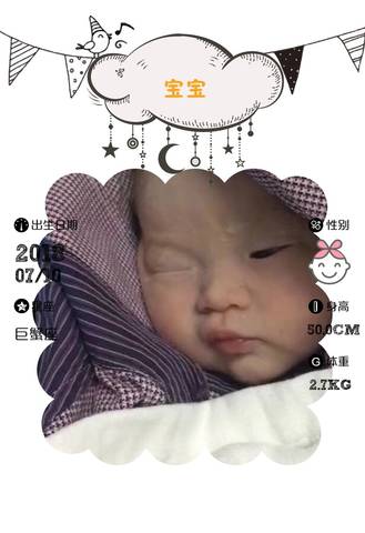 journal_insert_pic_1051560135