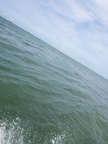 journal_insert_pic_1053314855