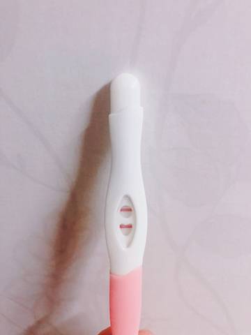 journal_insert_pic_1053865814