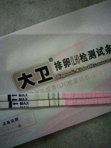 journal_insert_pic_1053894501