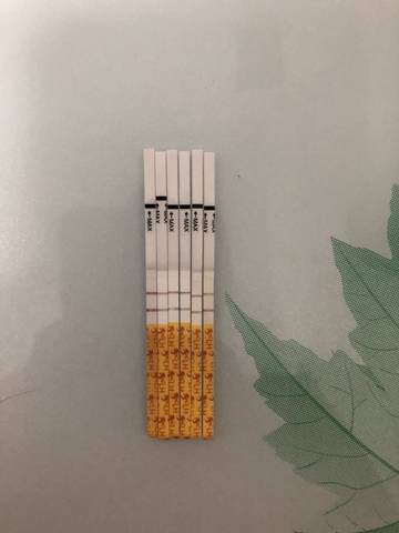 journal_insert_pic_1053989312