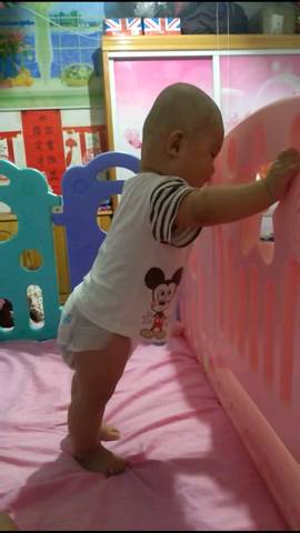 journal_insert_pic_1055215404