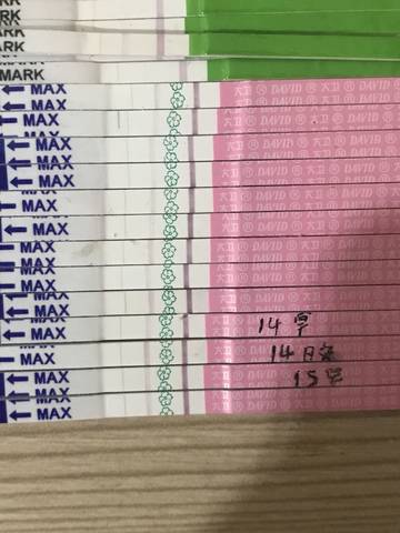 journal_insert_pic_1055132388
